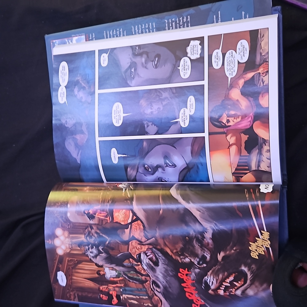 Two books - Picture 4 of 4